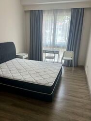 Balestier Road (D12), Apartment #556550211